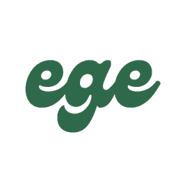 Egemen Erin